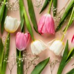 Покупка тюльпанов оптом: перспективная возможность для бизнеса