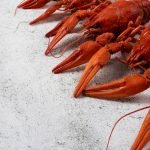 Вареные раки: наслаждение и польза в компании друзей