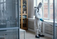 Эффективное уничтожение клопов в Санкт-Петербурге