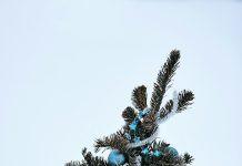 Новогодние подарки для детей: Как выбрать идеальный сюрприз