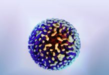 Гепатит B: что нужно знать каждому