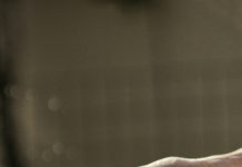 Профессиональный анализ почвы: зачем он нужен и как его правильно сделать